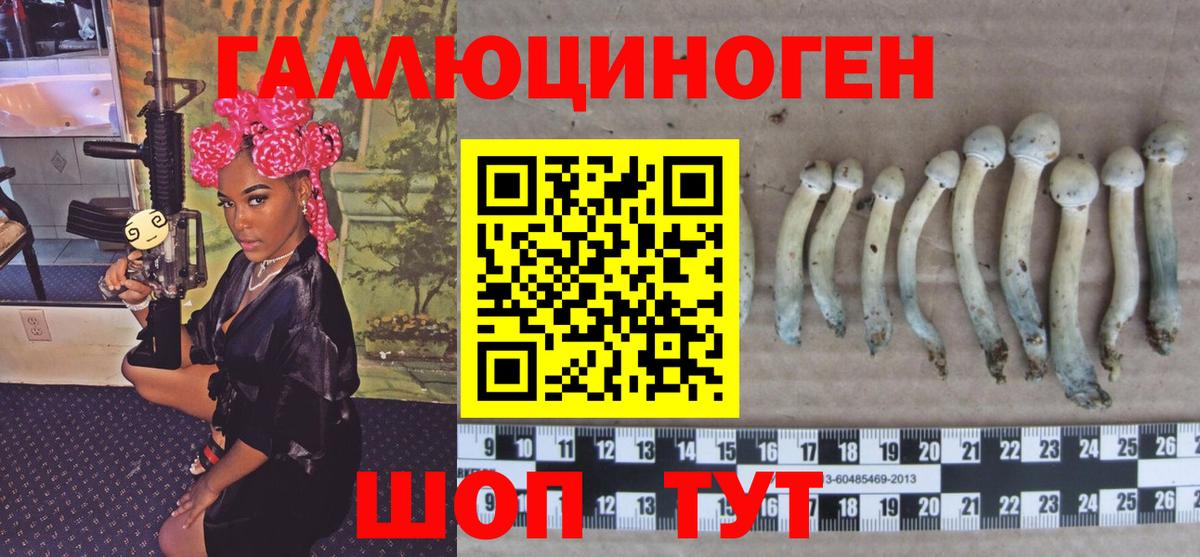 Псилоцибиновые грибы GOLDEN TEACHER Костомукша