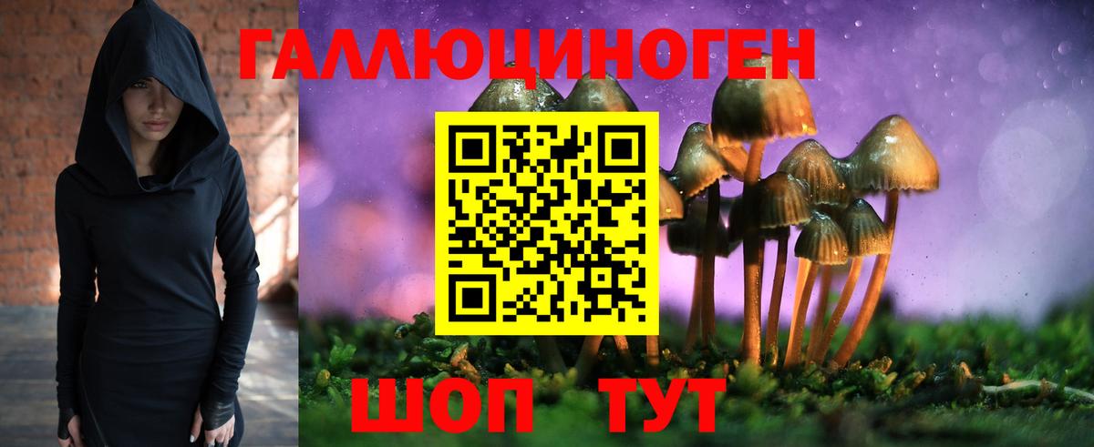 Псилоцибиновые грибы Psilocybine cubensis  Псилоцибиновые грибы Psilocybine cubensis  Костомукша  Вход с VPN 